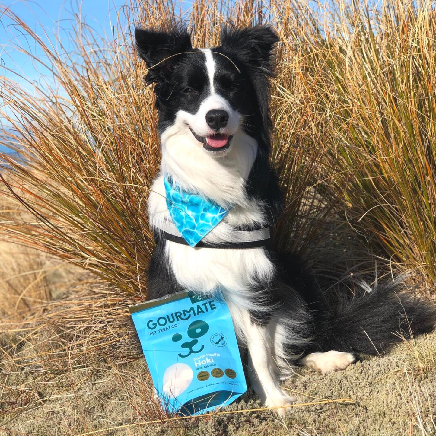 Gourmate Pet Treat Co. South Pacific Hoki | 100% Fish Treat